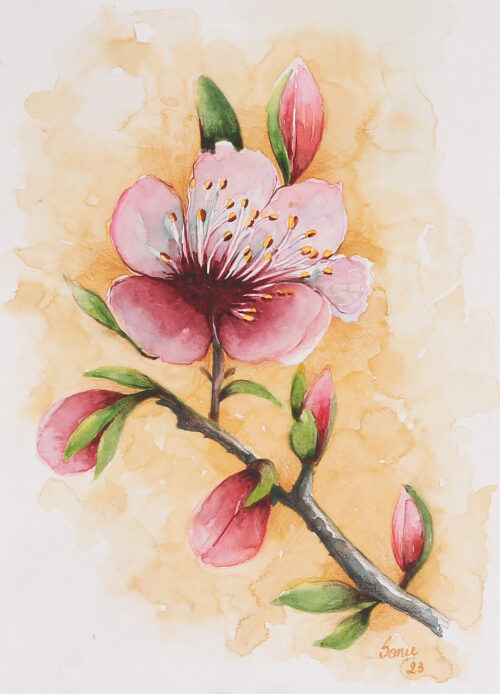 Cherry Blossom Branch-Themed Watercolor on Paper Painting, 'Blossoms of Spring'