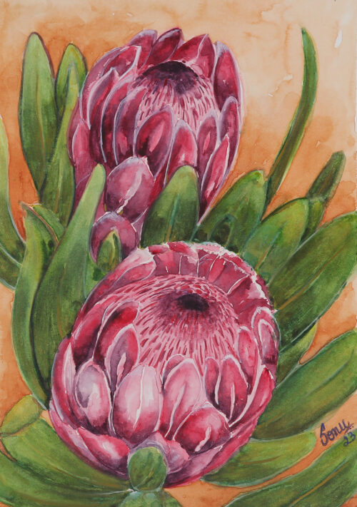 Protea Flower-Themed Watercolor on Paper Painting from India, 'Protea Elegance'
