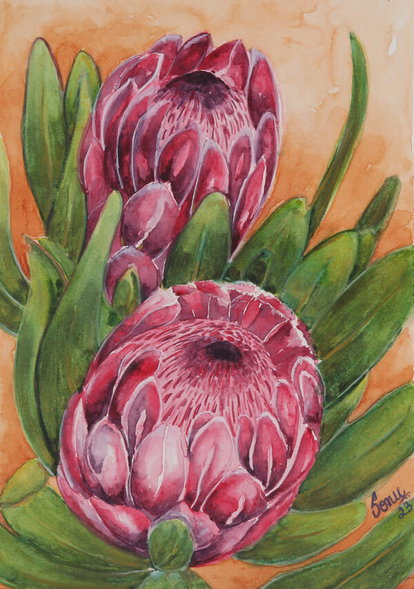 Protea Flower-Themed Watercolor on Paper Painting from India, 'Protea Elegance'