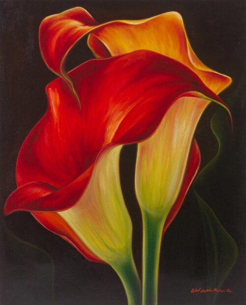 Signed Oil Painting of Red Calla Lilies in the Darkness, 'Two Calla Lilies' Signed Oil Painting of Red Calla Lilies in the Darkness, 'Two Calla Lilies'