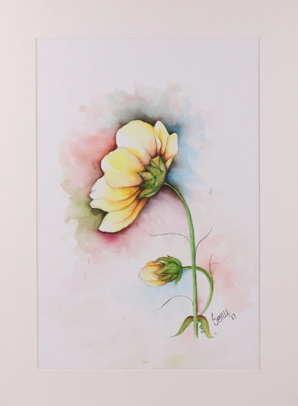 Signed Realist Painting of a Yellow Flower from India, 'Yellow Wonder'