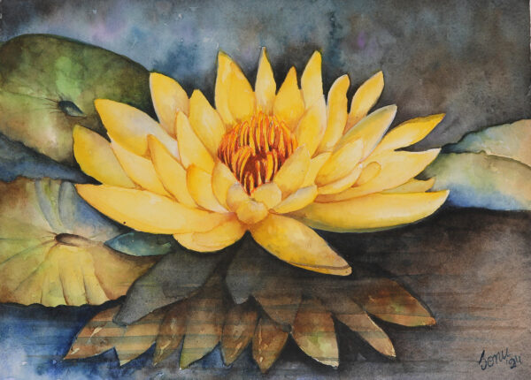 Watercolor on Paper Artwork of a Blooming Yellow Water Lily, 'Golden Bloom'
