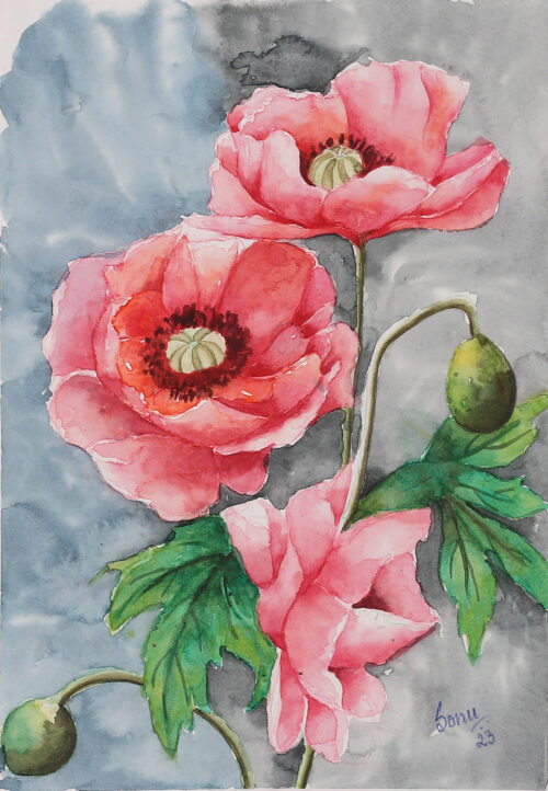 Watercolor Painting of Poppy Blooms and Buds with Leaves, 'Poppy Bloom' Watercolor Painting of Poppy Blooms and Buds with Leaves, 'Poppy Bloom'